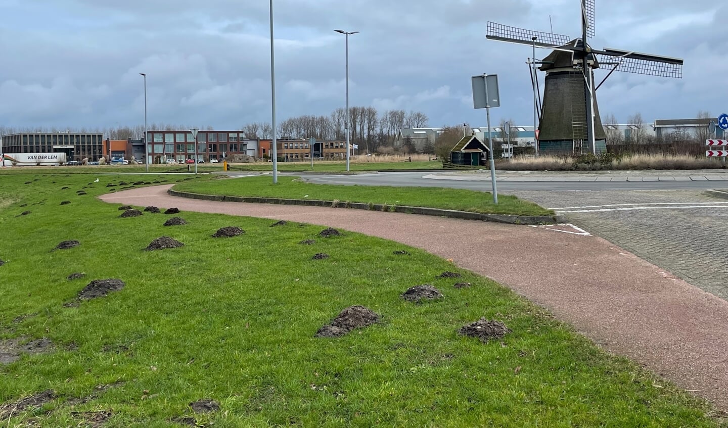 Voorspellen mollen winterweer?