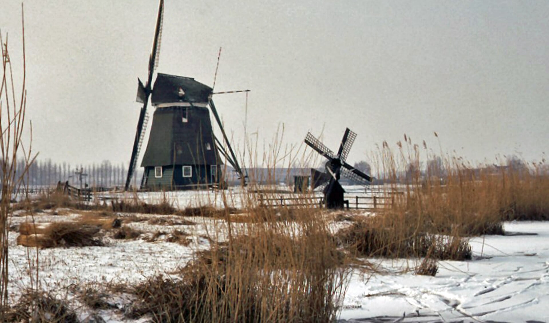 De Dorregeestermolen aan het einde van het Limmergat, een uitloper van het Alkmaarder- en het Uitgeestermeer.  