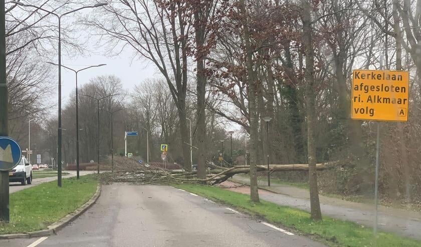 Viel zo voor onze neus om.