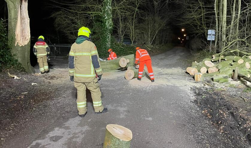 De boom op de hoek Westerweg-Kuillaan is ook weer bijna opgeruimt