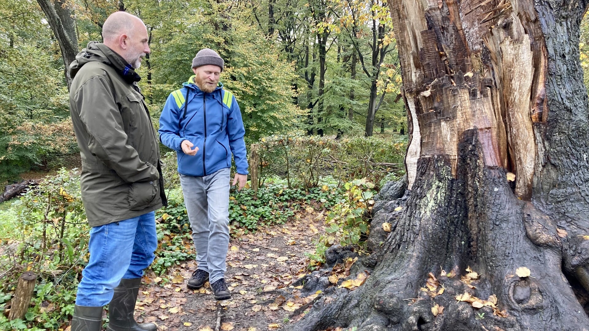 Rob van Dam en bomenspecialist Frans Könst bekijken de linde op de Kattenberg na storm Poly.