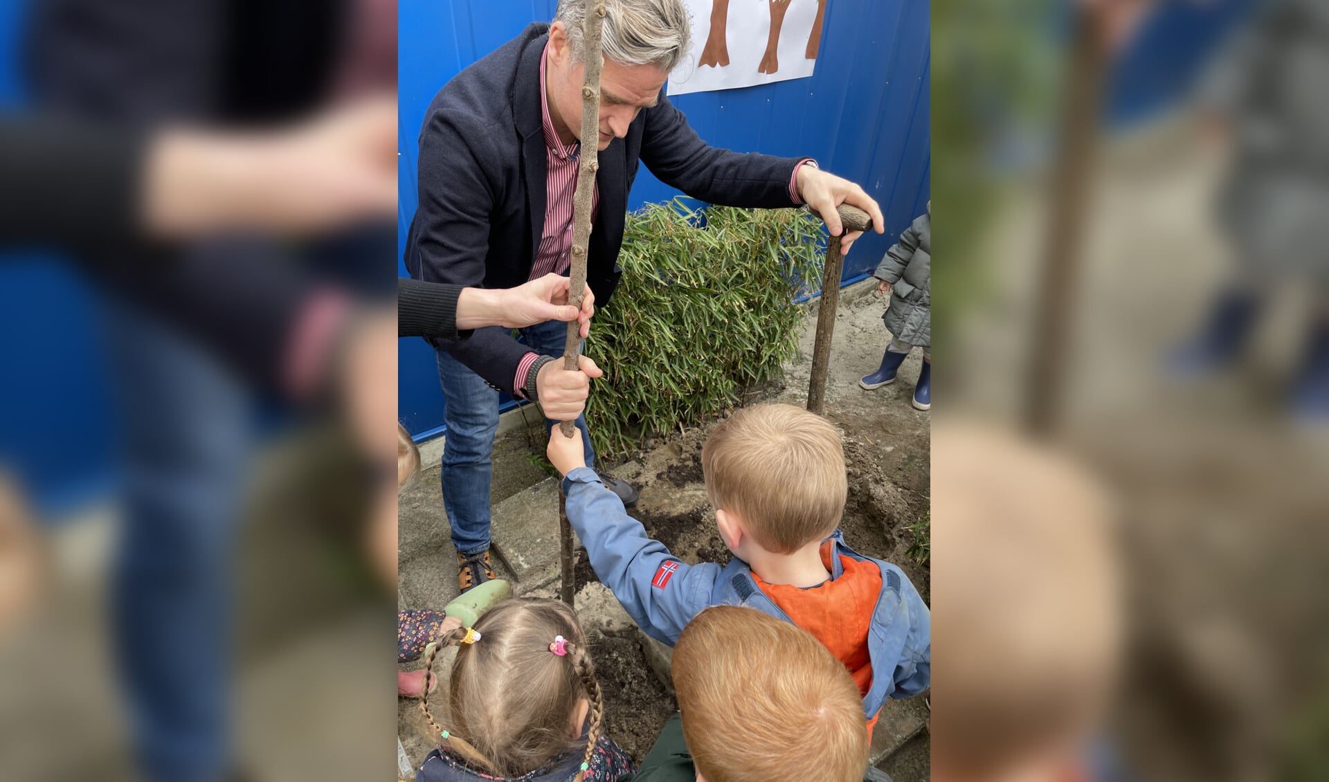 Wethouder Tromp helpt de kinderen bij het planten van een pruimenboom op het plein.