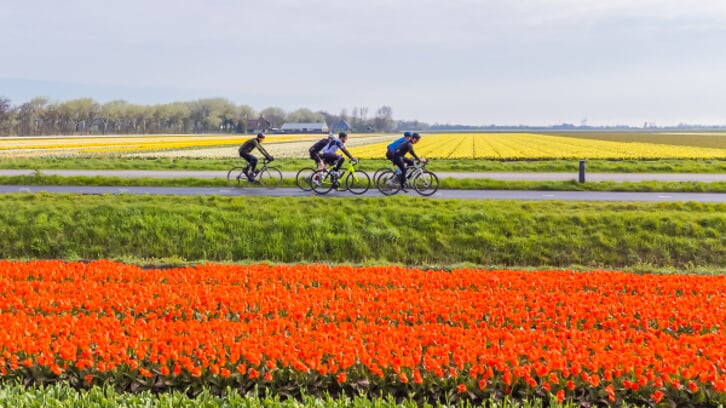Laatste kans: schrijf je uiterlijk donderdag 18 april in en fiets mee met dé lenteklassieker.