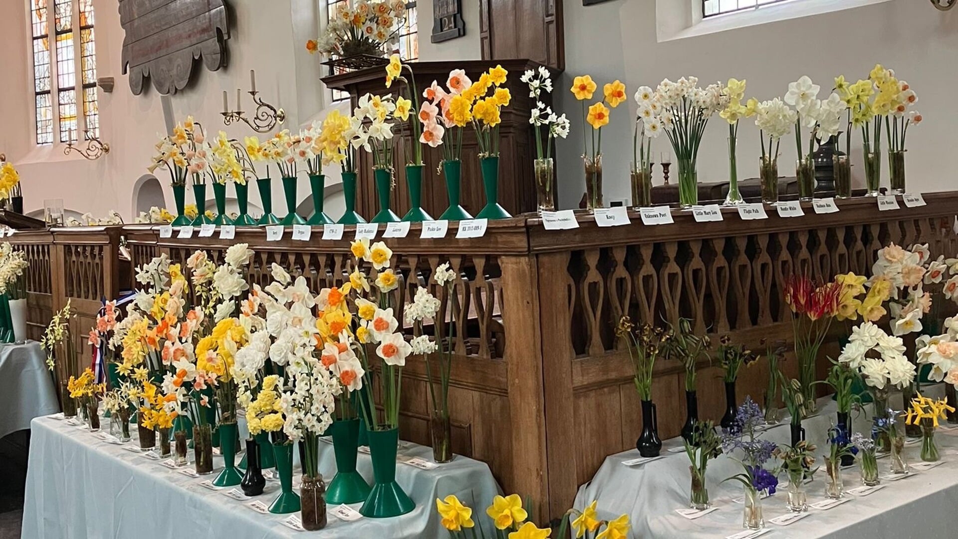 De slotkapel in Egmond aan den Hoef is veranderd in een grote narcissenzee. 