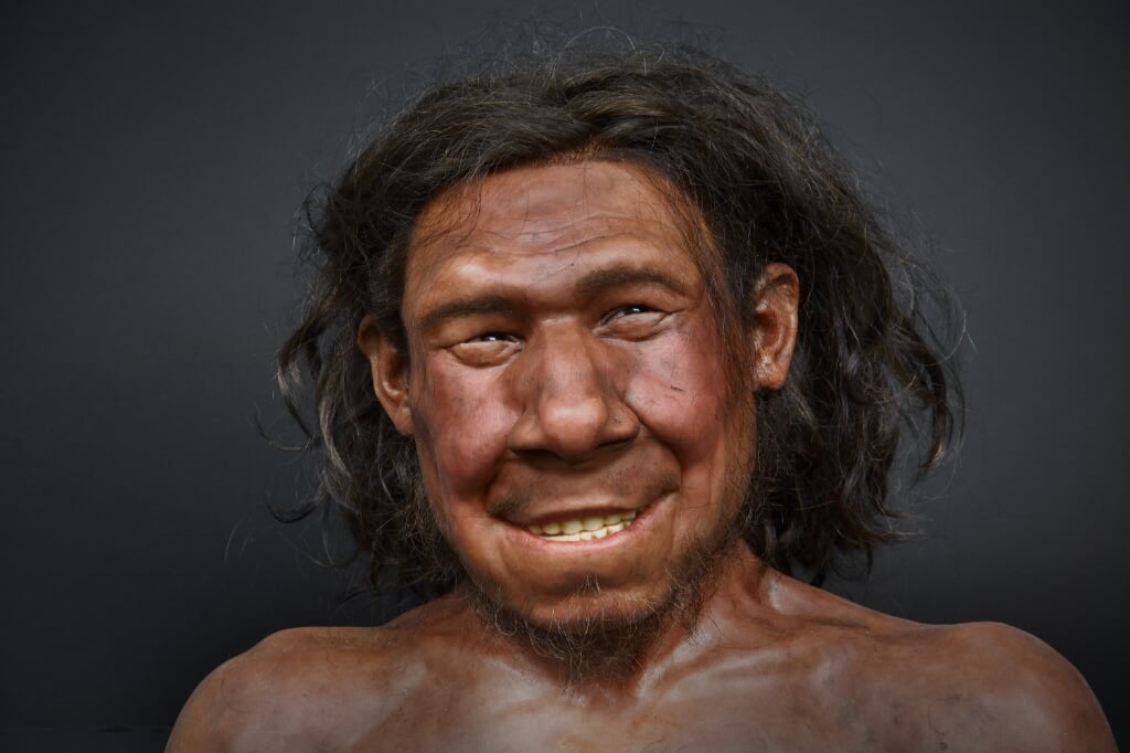 Krijn, de Neanderthaler die zo’n 50.000 jaar geleden in Doggerland leefde. 