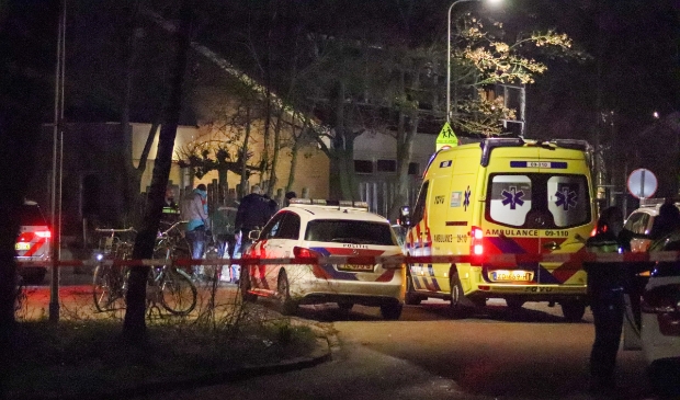 <p>Steekincident aan de Frans Halslaan </p>