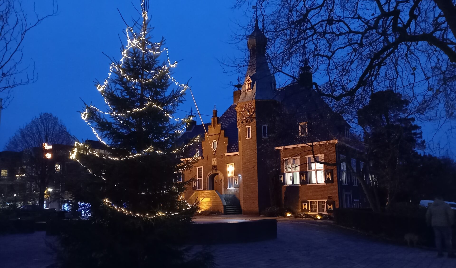 De kerstboom voor het gemeentehuis 