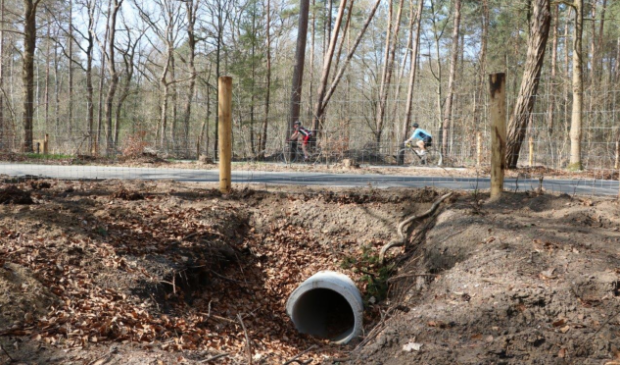 Dassentunnel
