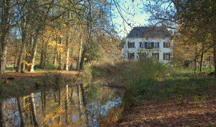 Afbeelding