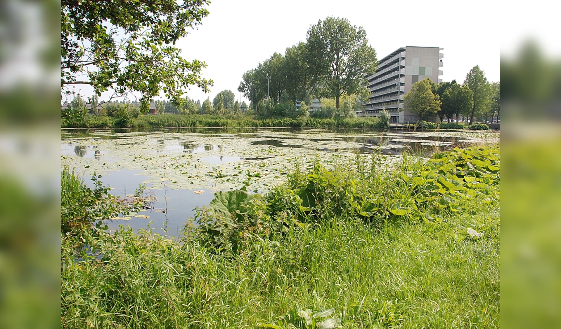 Plannen woningbouw bij Trifaxvijver