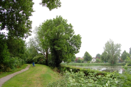 De Draaierschans tegenover het Molenpad