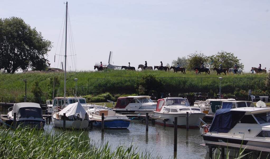 Er komt geen wandelpad langs de haven