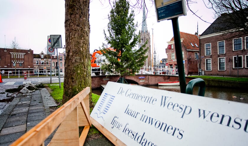 Kerstboom in de Oude Gracht keert terug