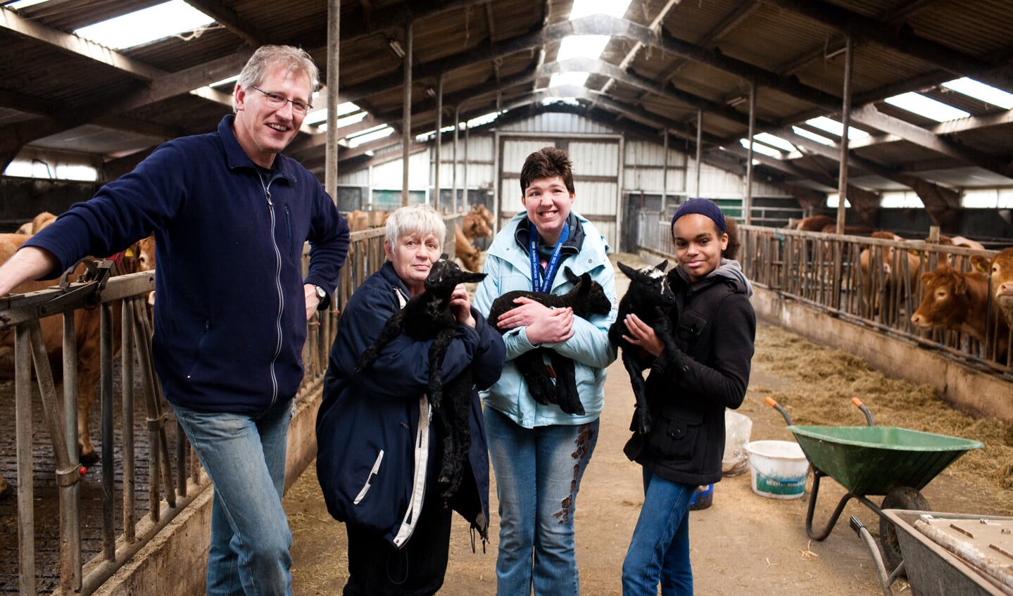 Boer Marten van Harten(l) en de hulpboeren met de pasgeboren lammetjes.