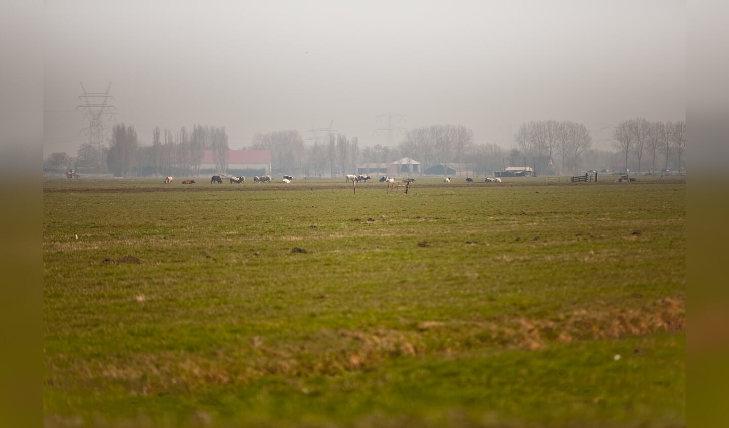 Provincie houdt vast aan Bloemendalerpolder bij Weesp