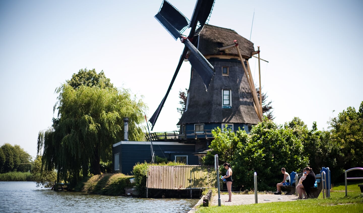 Zwemmen in de Vecht, een favoriete bezigheid van Weespers