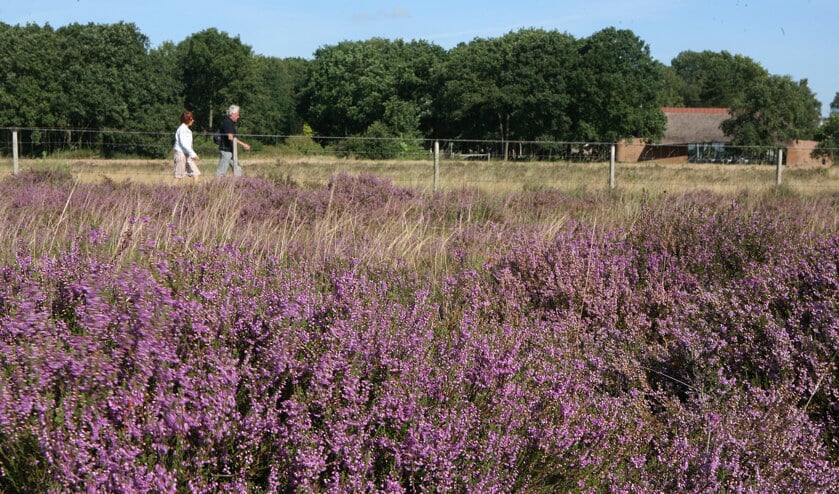 <p>De Bussumse heide is onderdeel van het GNR.</p>