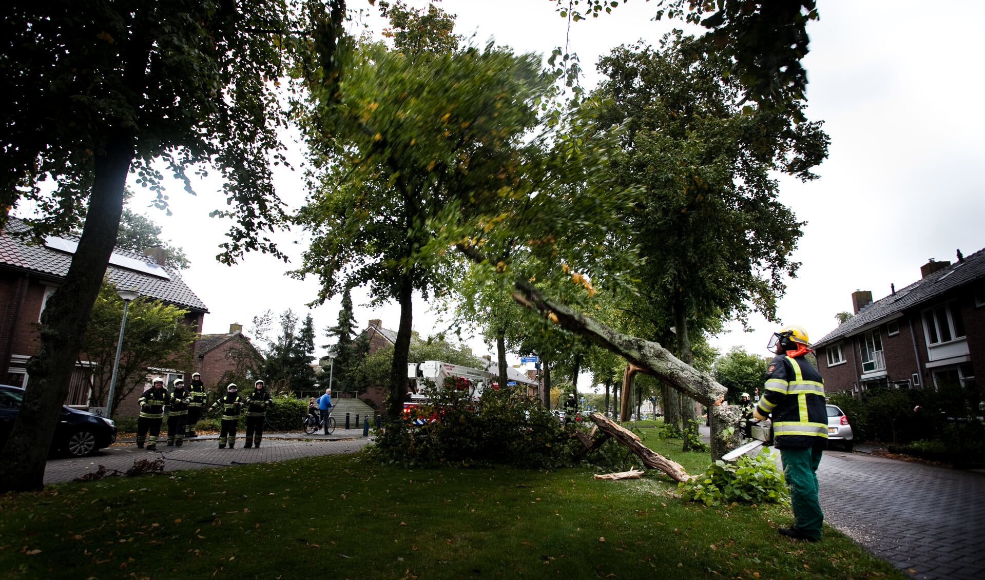 Brandweer zaagt boom om