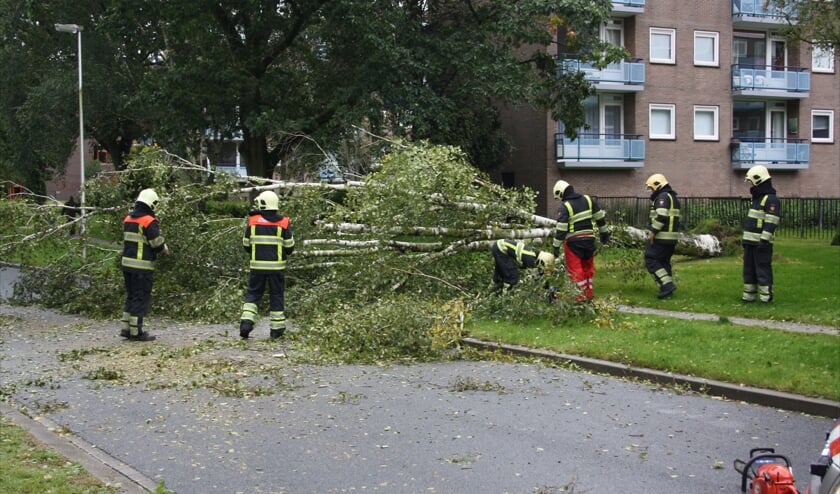 Boom valt om bij Koekoeklaan. Foto: Sebas Bolthof