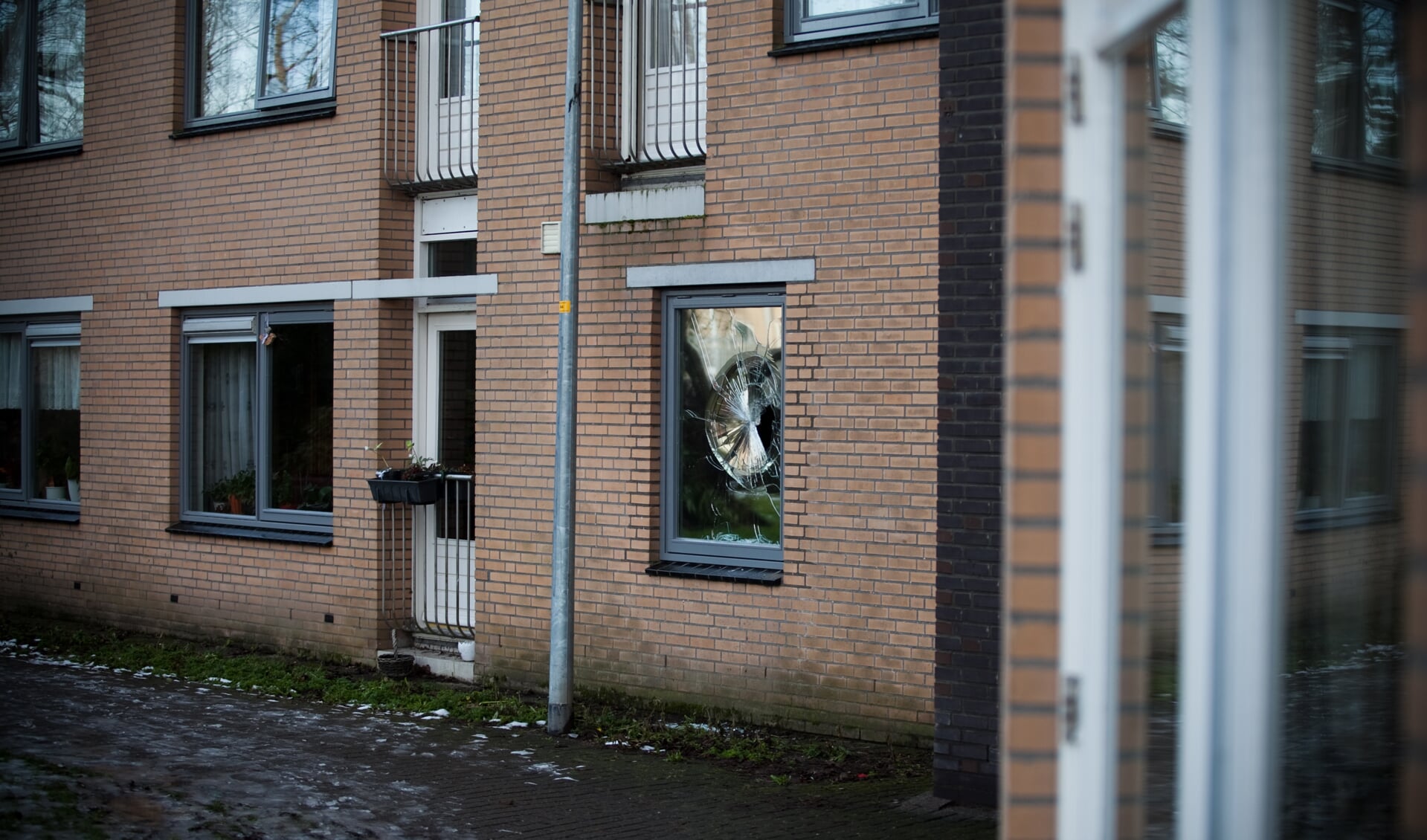 Het is niet de eerste keer dat een raam van Oversingel wordt ingegooid, dat gebeurde eind januari ook al.
