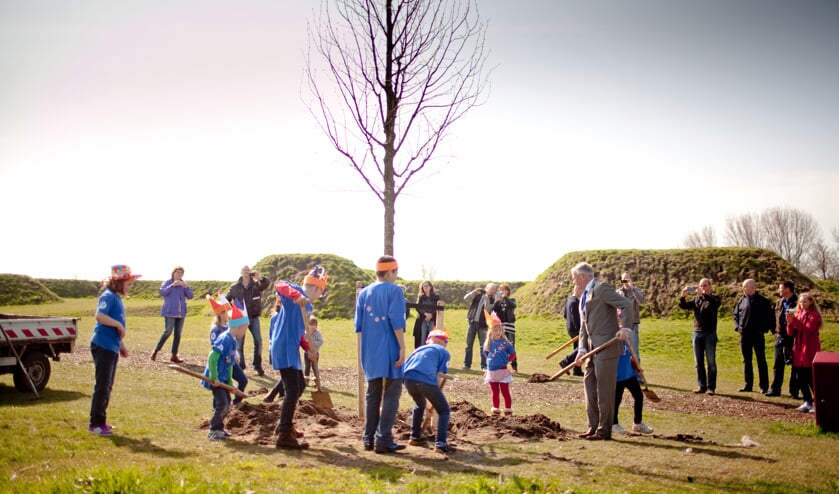 Nieuwe boom is al aardig hoog.