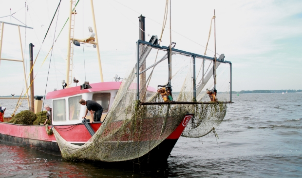 <p>Al een aantal jaar wordt het fonteinkruid nu gemaaid, maar uit onderzoek blijkt dat dit wellicht in de toekomst niet meer kan vanwege de slechte waterkwaliteit.</p>