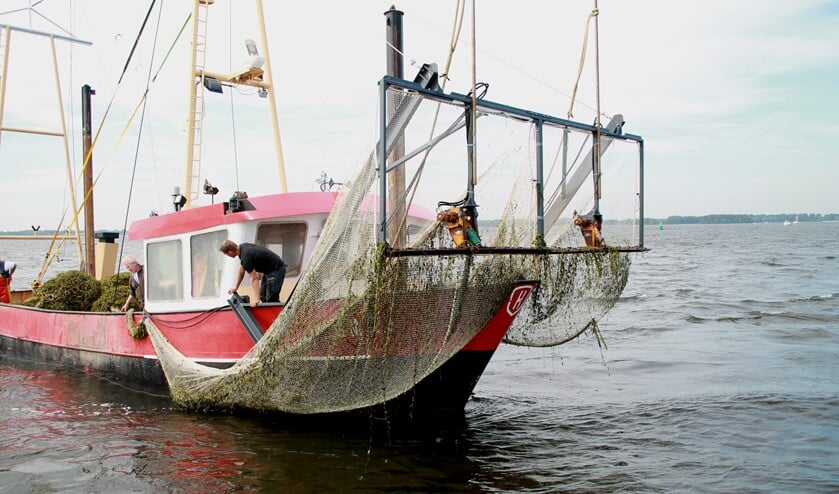 <p>Al een aantal jaar wordt het fonteinkruid nu gemaaid, maar uit onderzoek blijkt dat dit wellicht in de toekomst niet meer kan vanwege de slechte waterkwaliteit.</p>