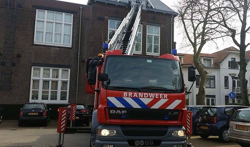 Foto: Brian van den Berg.