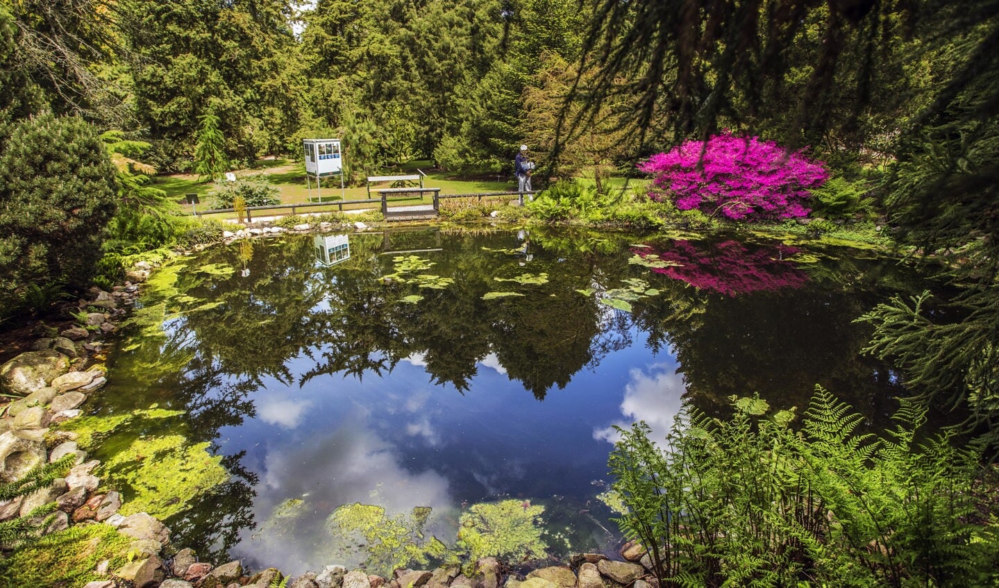 Pinetum