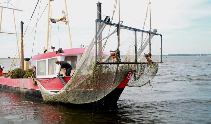 Met een speciaal geschikt gemaakte vissersboot wordt het fonteinkruid gemaaid.