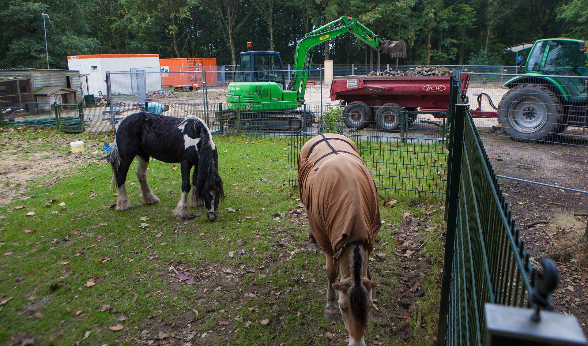 Grazende paarden met op de achtergrond de werkzaamheden voor de nieuwbouw.