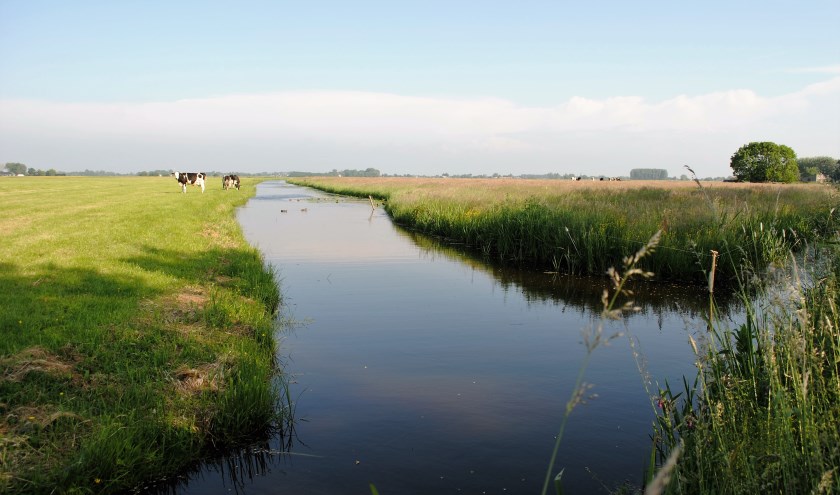 De Aetsveldsche Polder