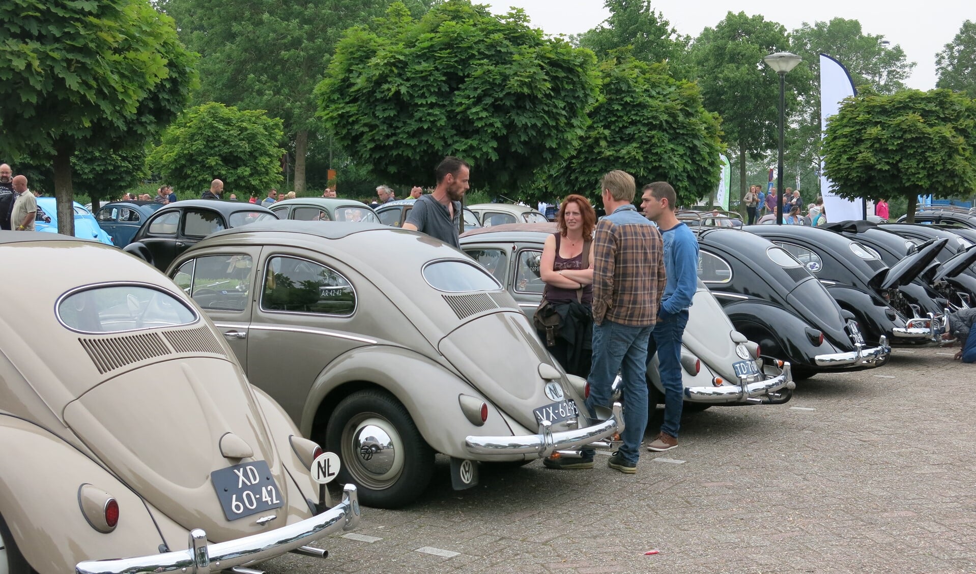 Heel veel Volkswagens zullen Plein 1945 sieren zondag.