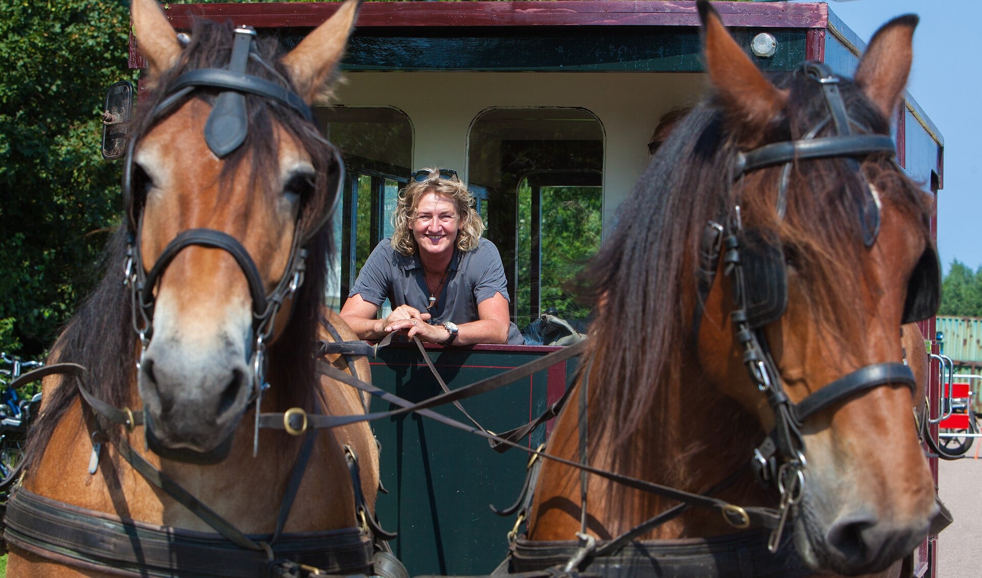 Brenda van Laar maakte maandag de eerste rit met haar paardentram in Blaricum.