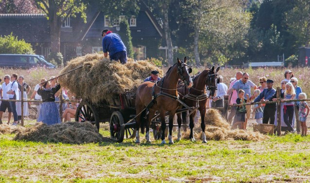 De Dag van het Werkpaard laat zien hoe het er 100 jaar geleden in Blaricum aan toe ging.