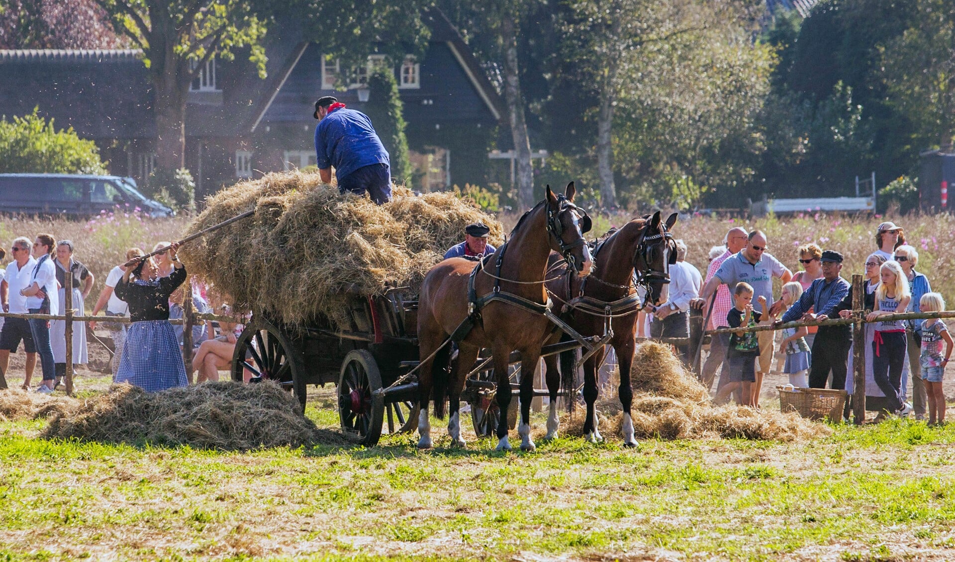 De Dag van het Werkpaard laat zien hoe het er 100 jaar geleden in Blaricum aan toe ging.