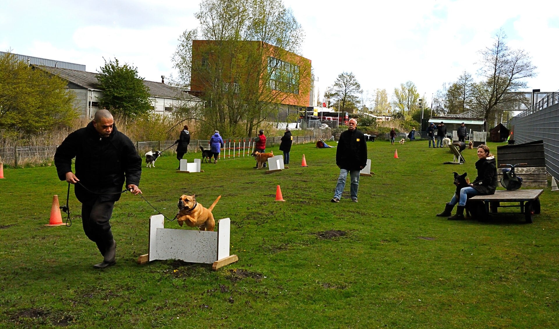 Guus Piërlôt (midden) leidt een  cursus. De honden op de foto staan los van het artikel.