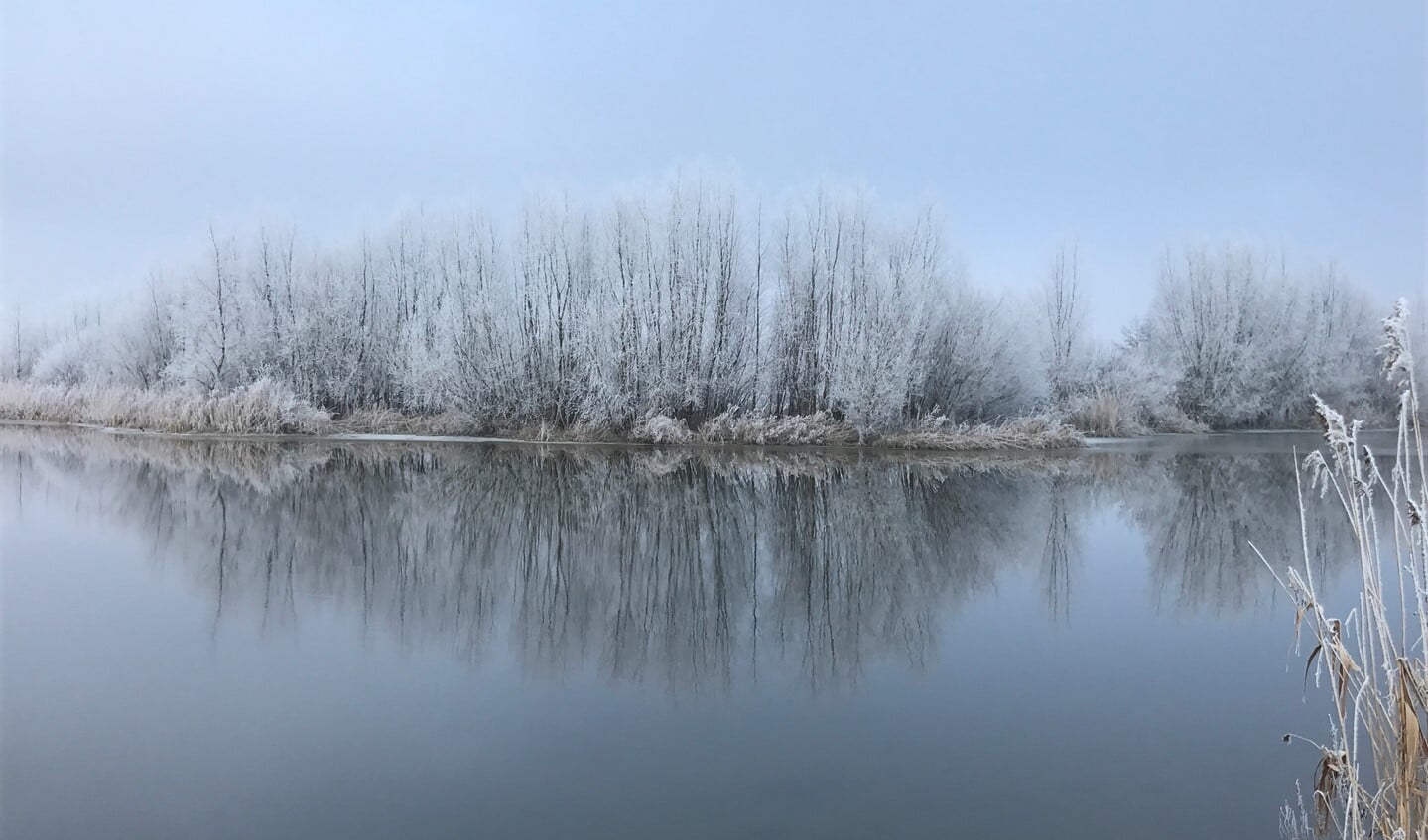 Prachtige bevroren bomen, weerspiegeling in het water. Haven van Huizen