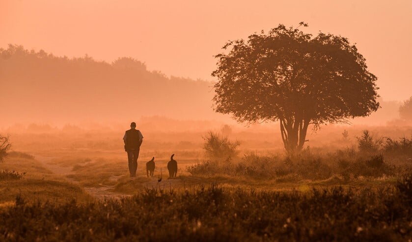 <p>Foto : Bastiaan Miché</p>
