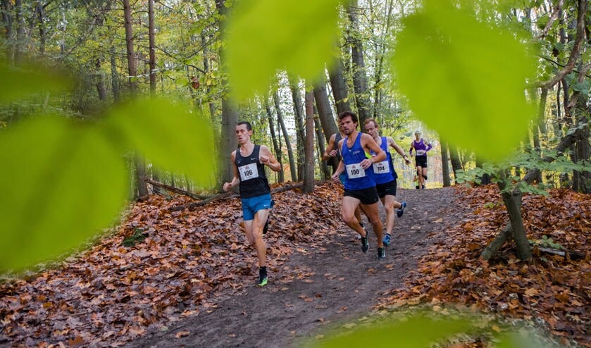 <p>Foto van de loop in 2018. </p>
