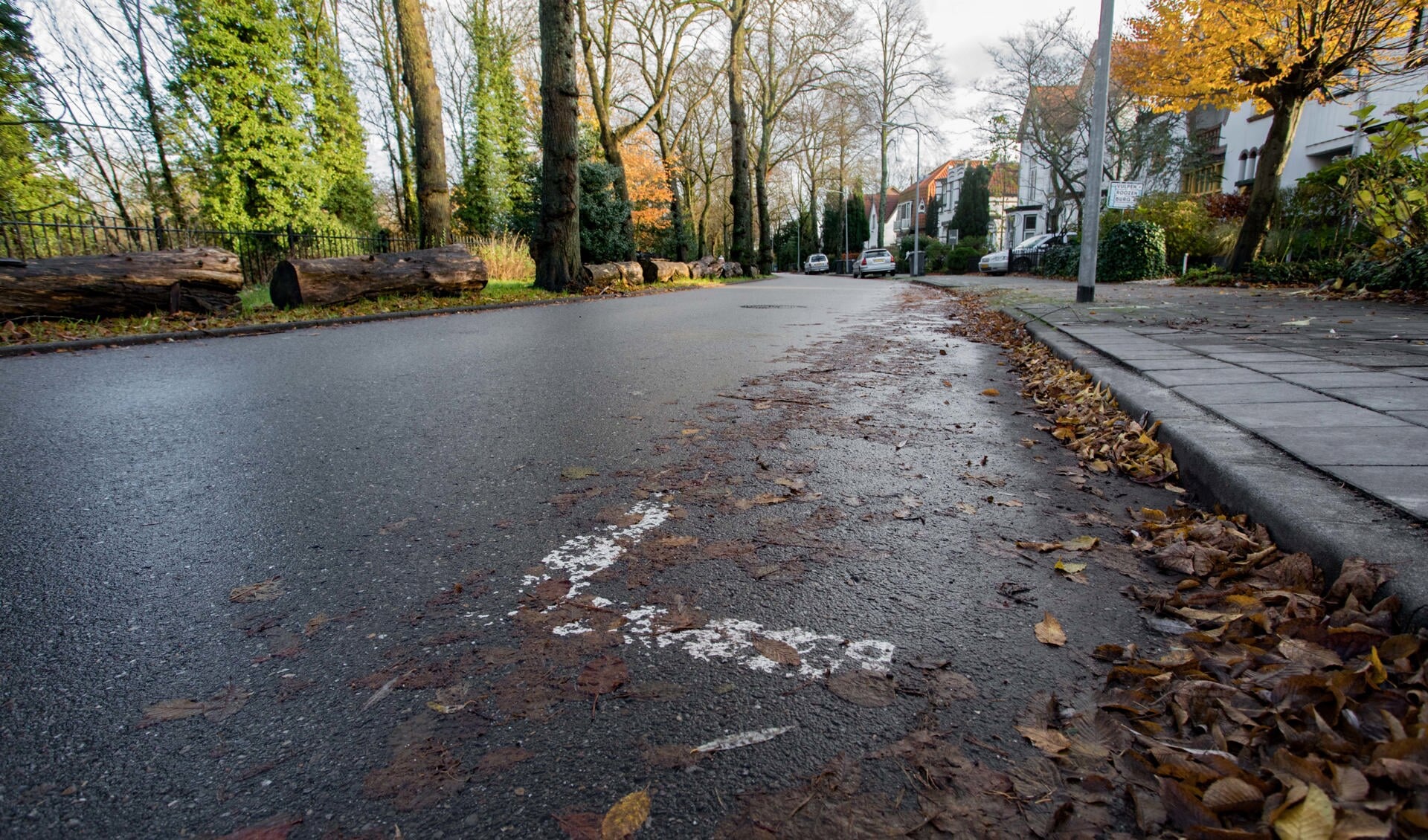 Alle commotie op en rond de Taludweg over het betaald parkeren en de gevolgen daarvan is de aanleiding geweest voor Bus van zijn initiatiefvoorstel.