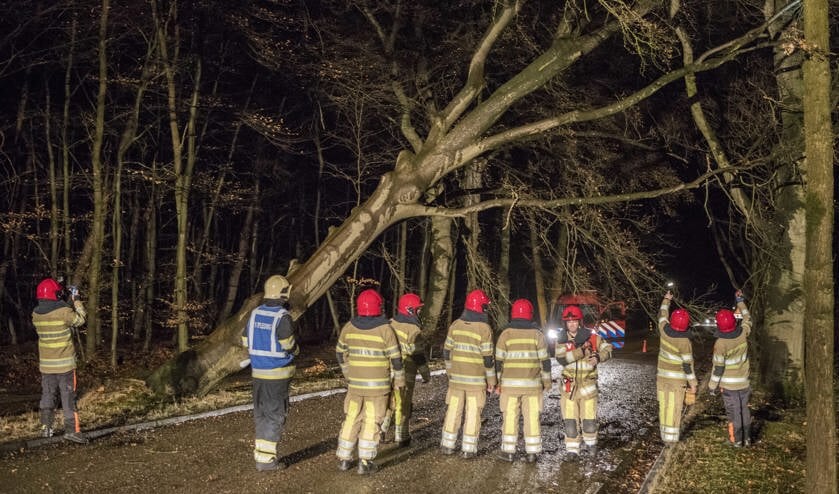 Foto's : Bastiaan Miché