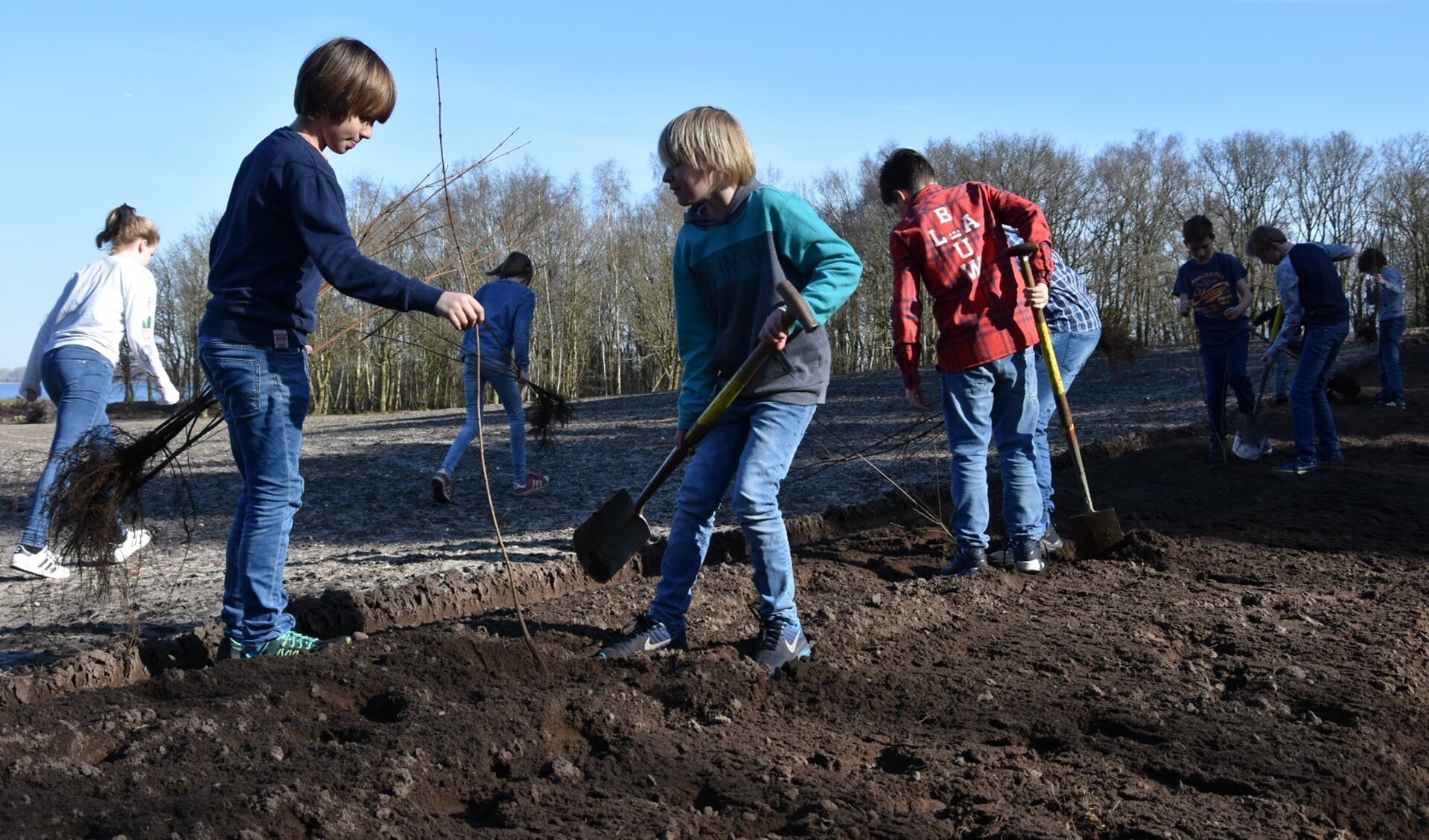 De leerlingen van de Dr. Maria Montessorischool planten de bomen op de Eukenberg.