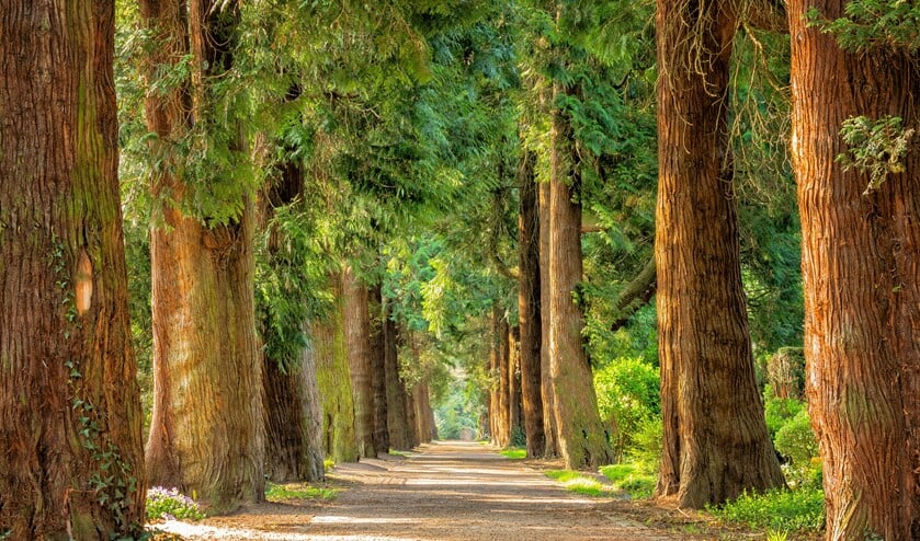 De wandelingen gaan richting bos, hei en/of akkers.