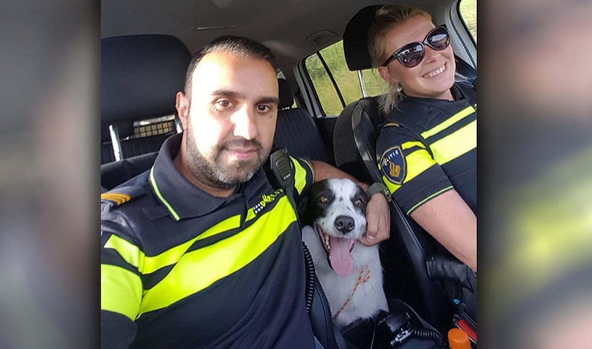 Twee agenten wisten in Amsterdam ook een hond te redden. 