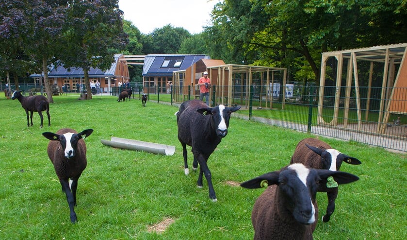 <p>De kinderboerderij moest tijdens de lockdown drie maanden dicht.</p>