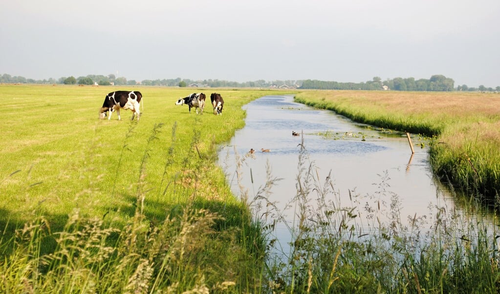 De Aetsveldsepolder. 