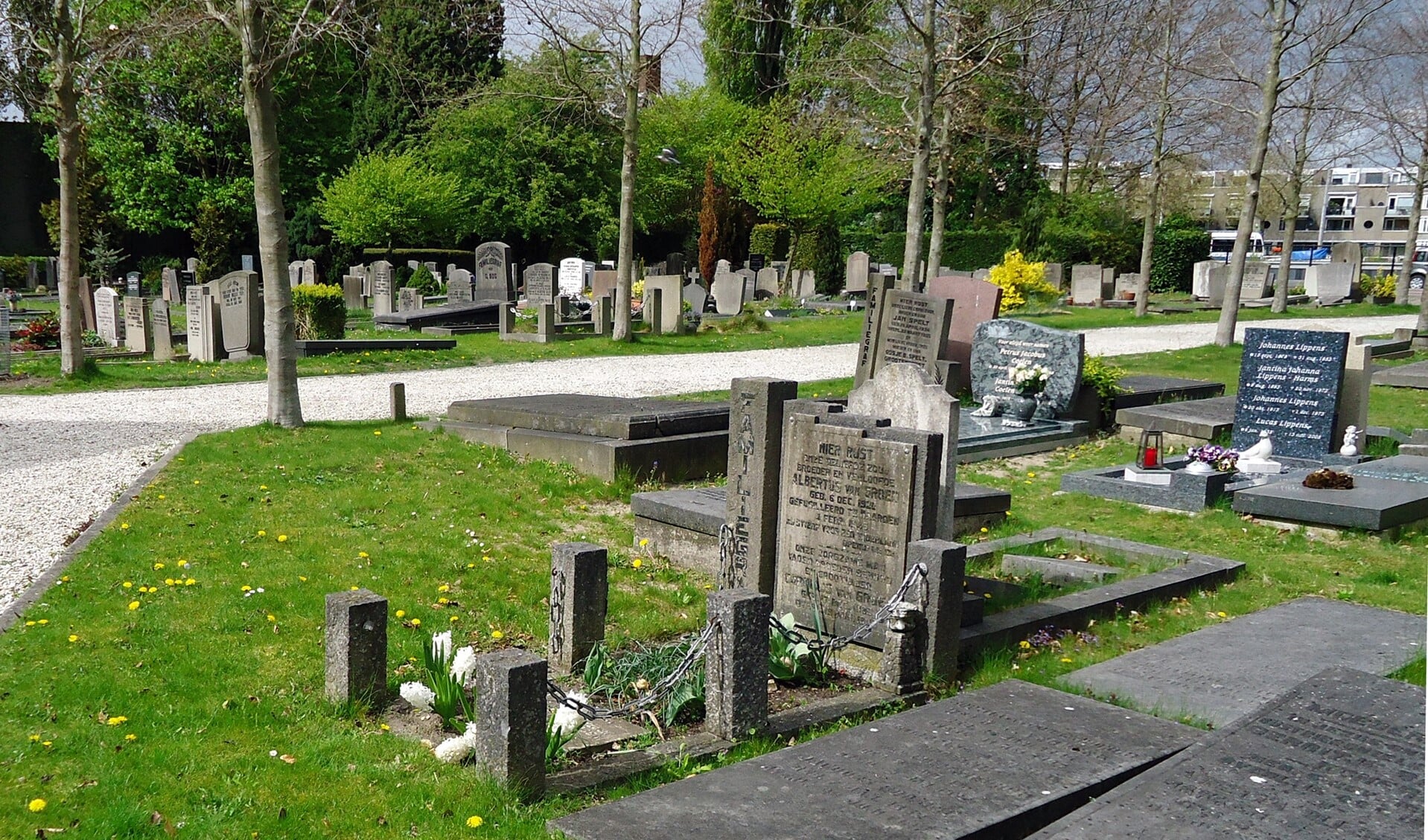 Begraafplaats Rustoord (dit is niet het graf van Pieter Nieuwland).