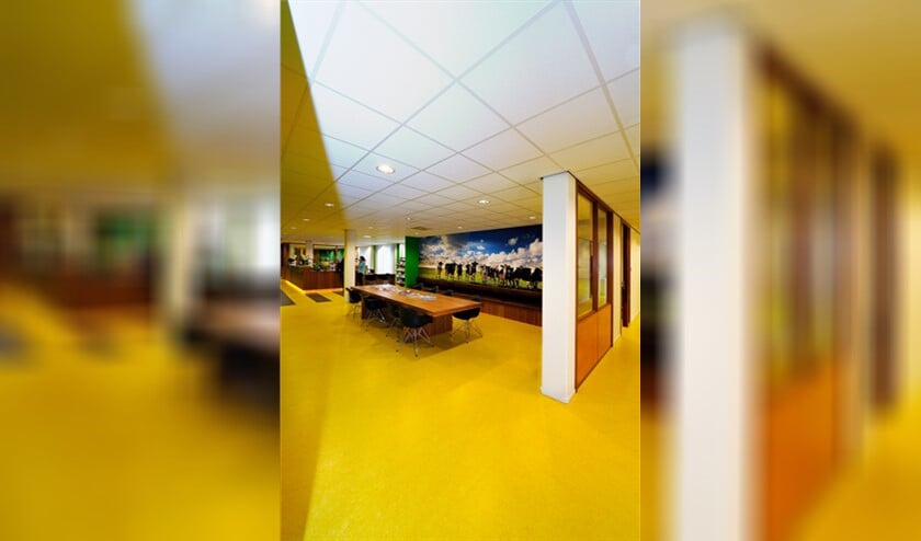 De cursus wordt gegeven in de Brede HOED.