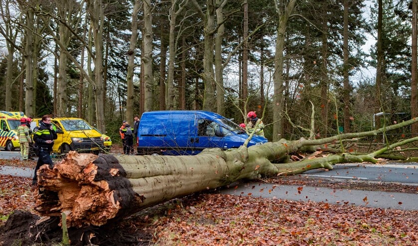 Op de Hilversumseweg was een boom op een rijdende auto gevallen.